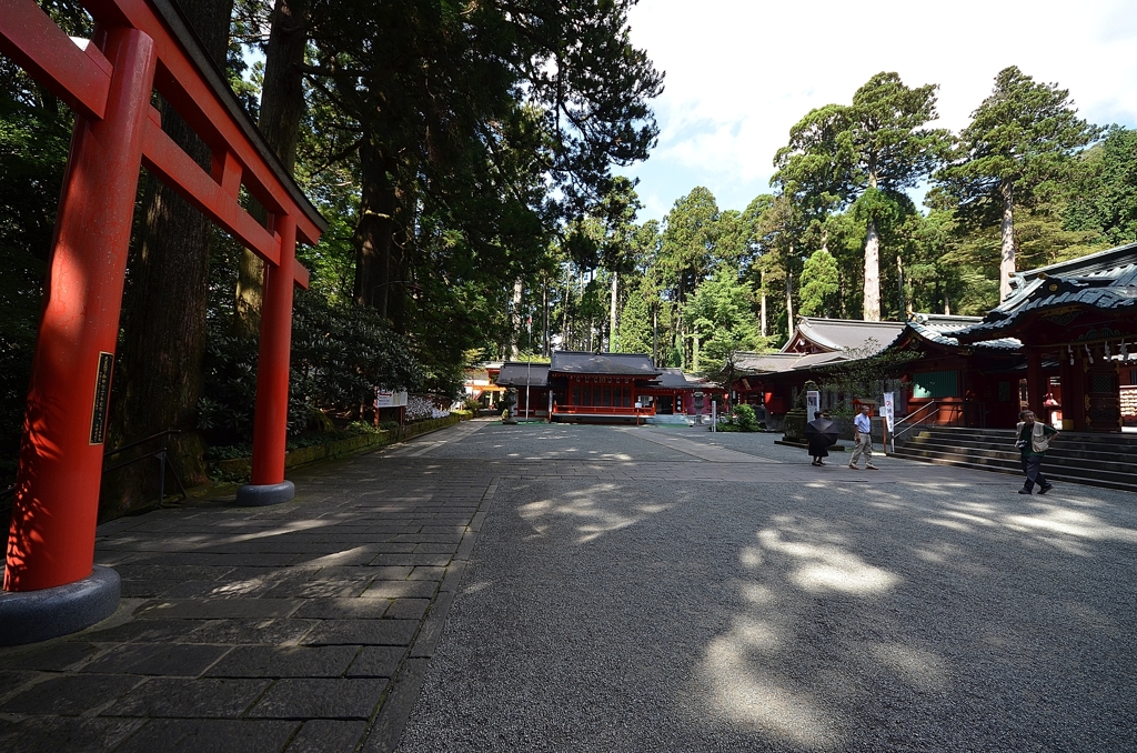 DSC_7091
