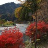 奥多摩周遊道路都民の森