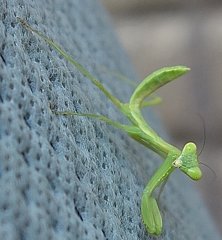 DSC04265_01 1