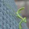 DSC04265_01 1