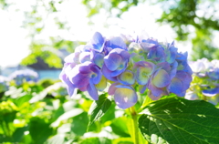 R0002216