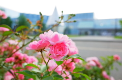 R0002437