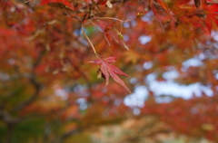 R0006374