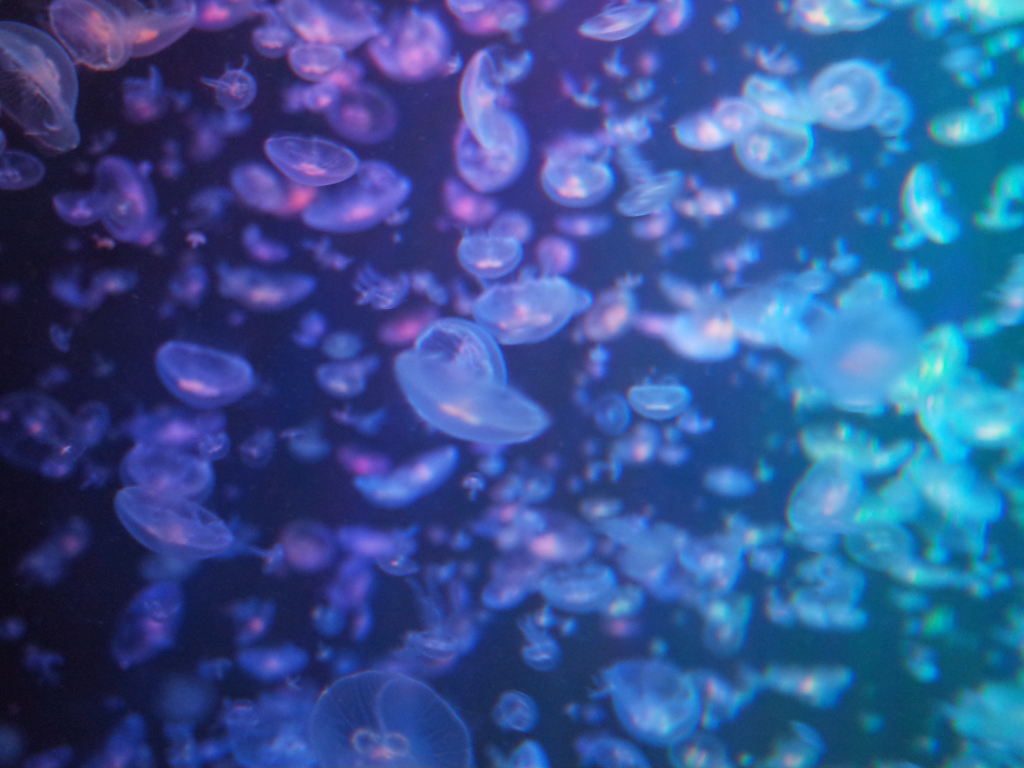 R0011536