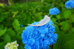 R0002457