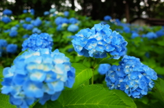 R0003086