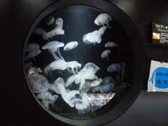 R0011515