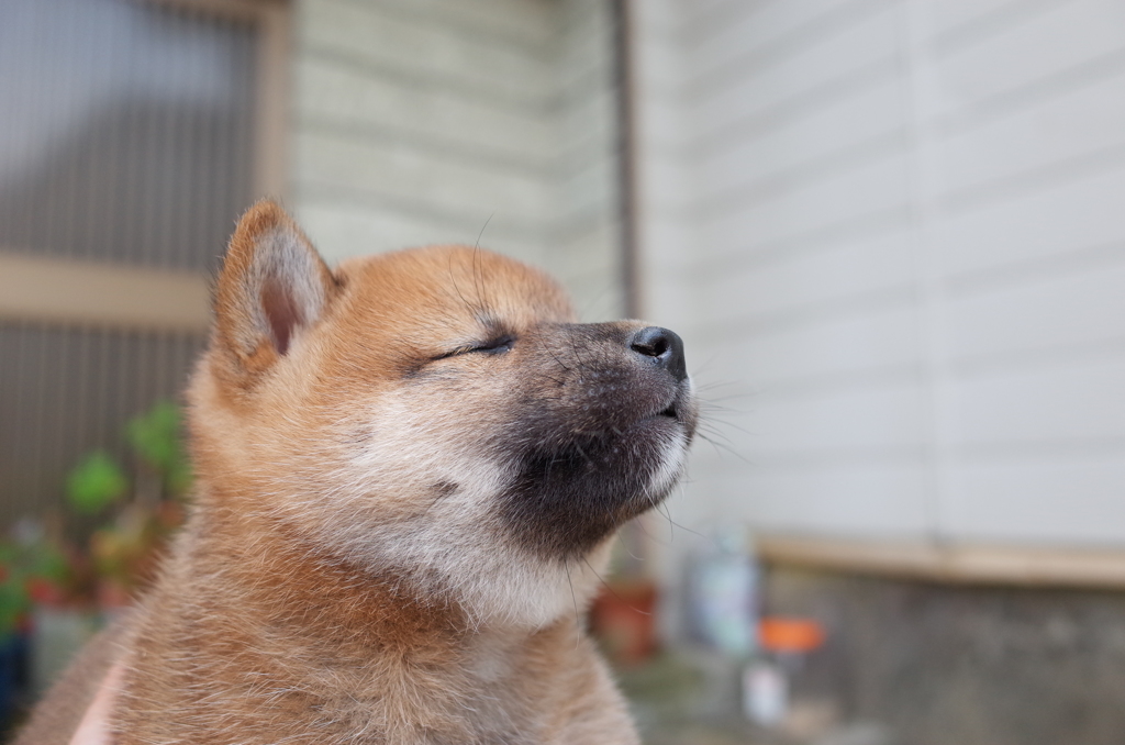恍★惚