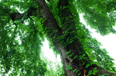 R0002790
