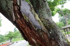 R0002277