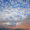 R0005312
