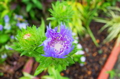 R0002781