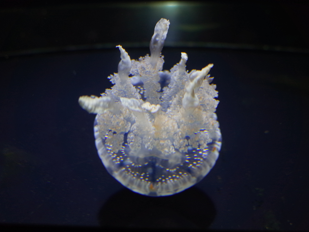 R0011504