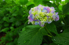 R0002789