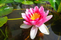 R0003212