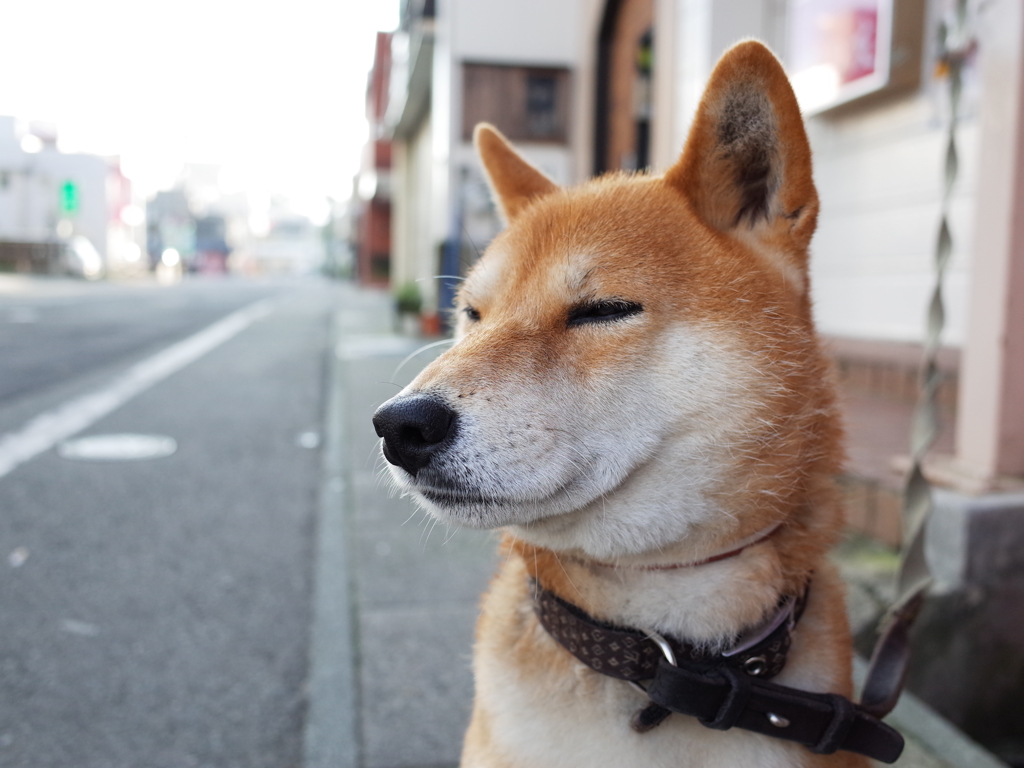 眠い!!