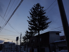 R0007546