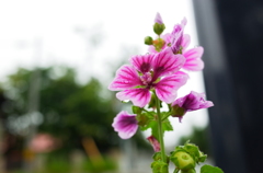 R0002786