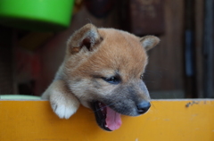 ばァ～～～!!!