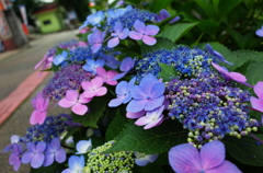 R0003083