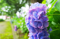 R0003379