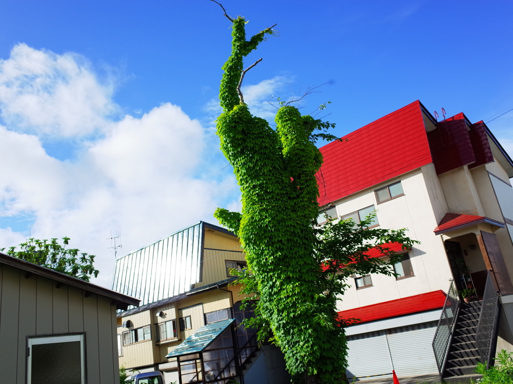 緑の塔