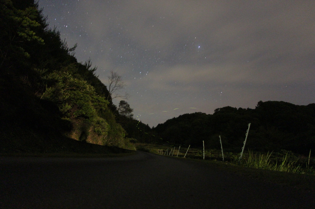 蛍と星空