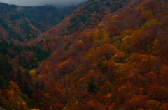 大好きな風景(=＾－＾=) 