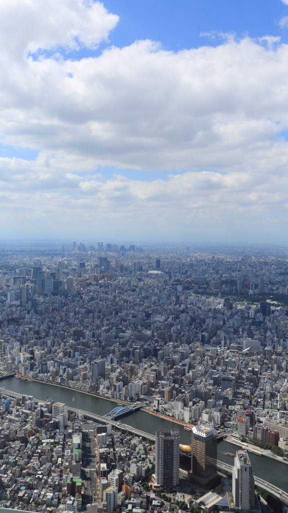 地上350ｍ2