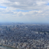 地上350ｍ2