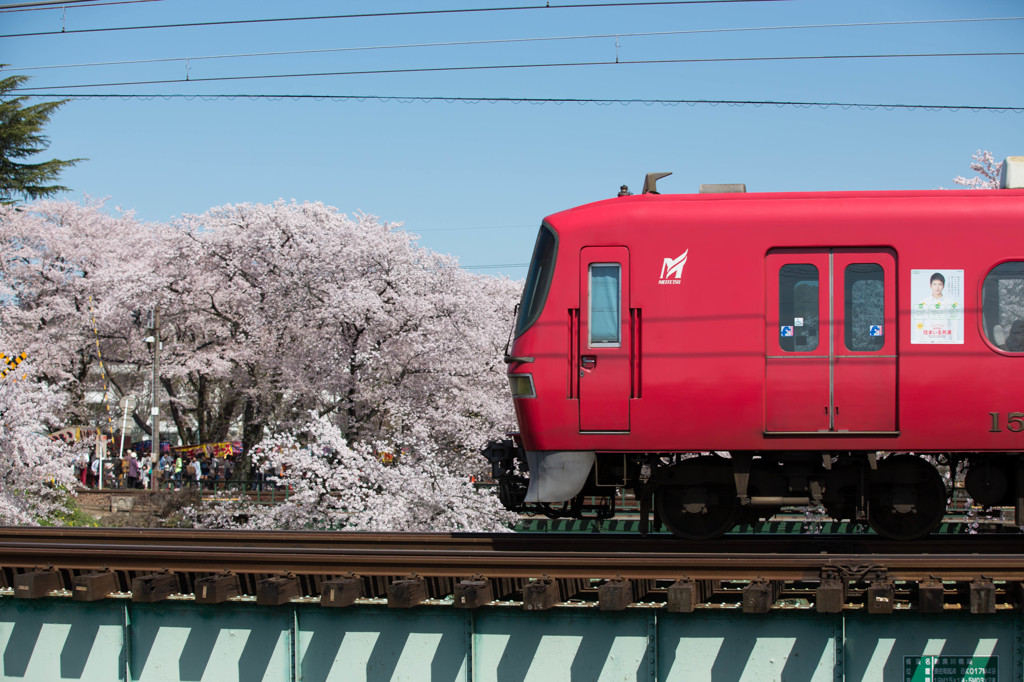 各務原桜と電車2