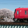 各務原桜と電車2