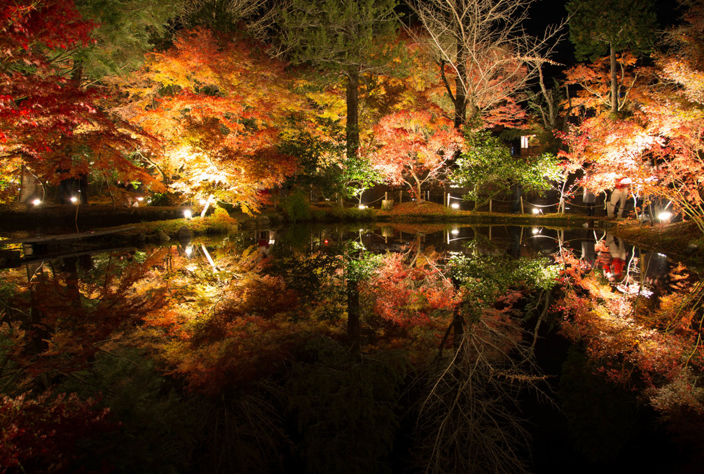 曽木公園 