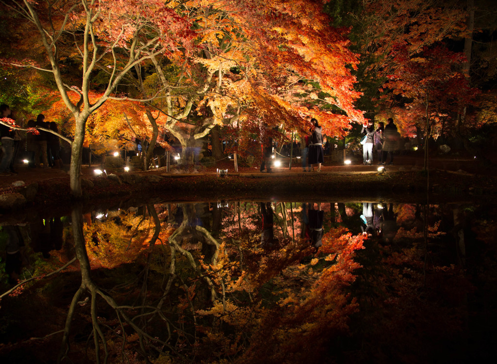 曽木公園２ 