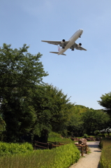 そこにあるのは空の路…