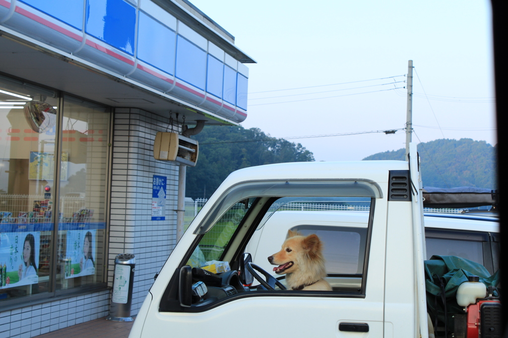 ご主人まだかなぁ？？