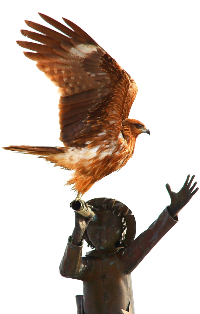鳶3