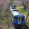 2015.04.26 キハ１８３系、桜の間を駆ける