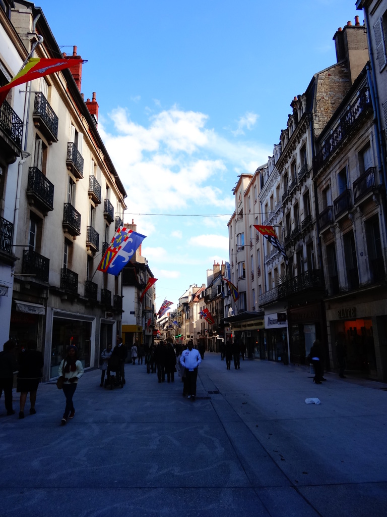 2013 faiblement♪Dijon(4)