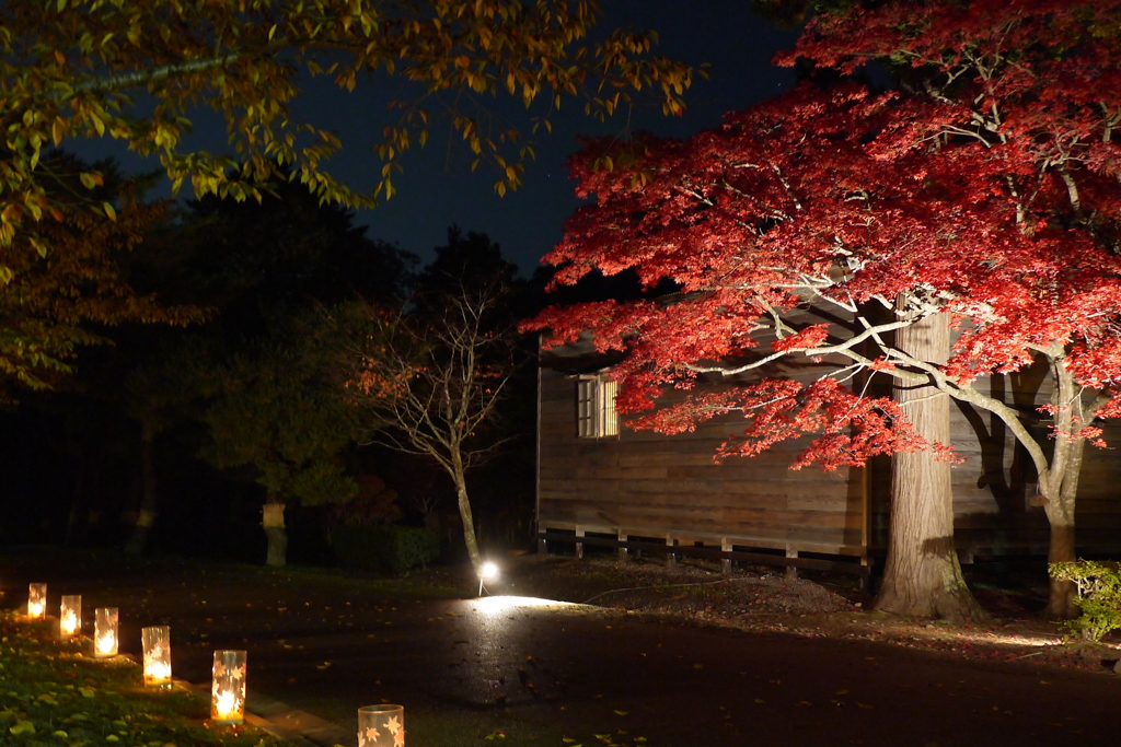 2013.11.4 道南の紅葉(13)