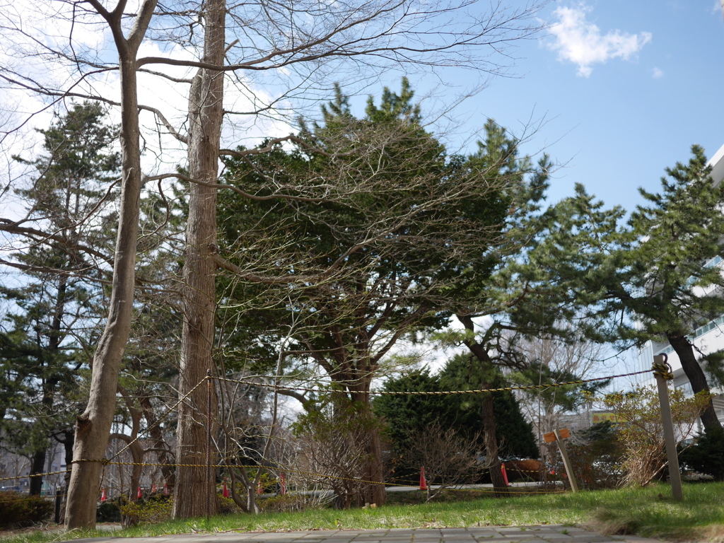 2014.04.12 道南・春探し♪(11)