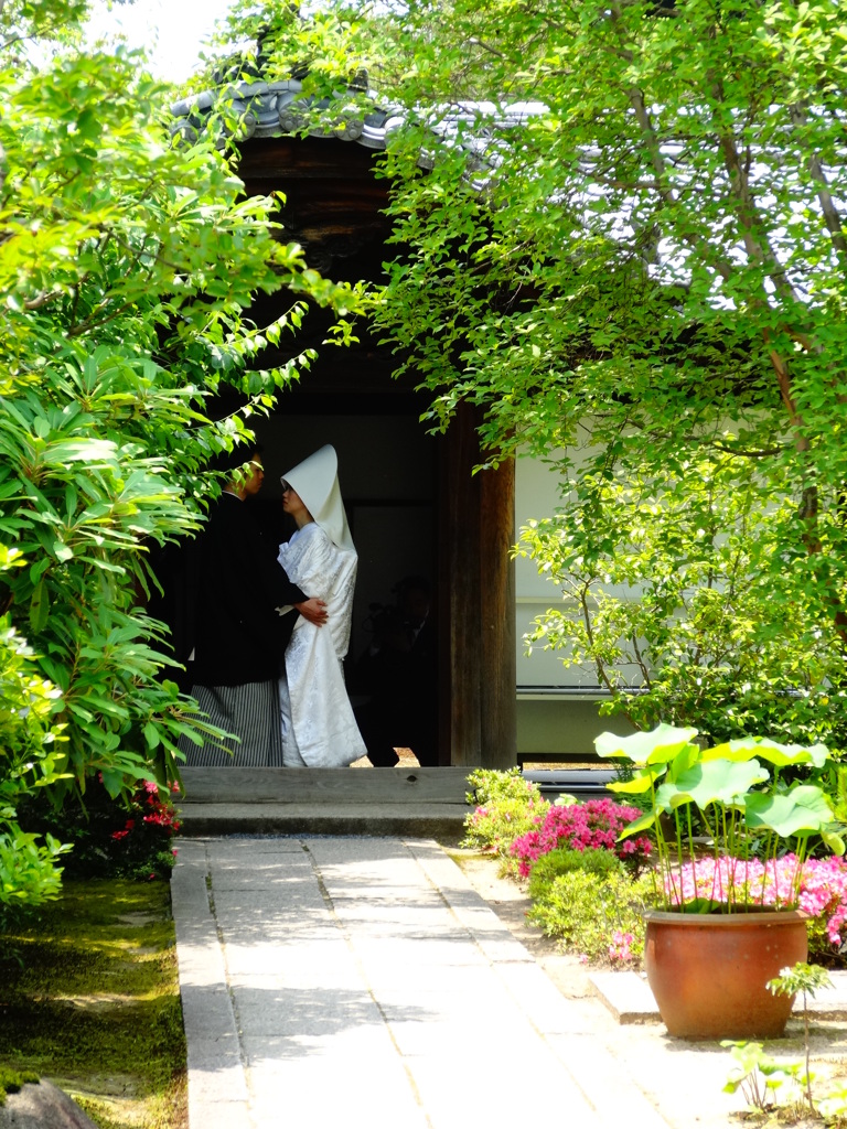 2014.05.31 そうだ 京都、行こう(17)