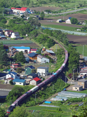 2015.06.06 優雅なS字ライン♪