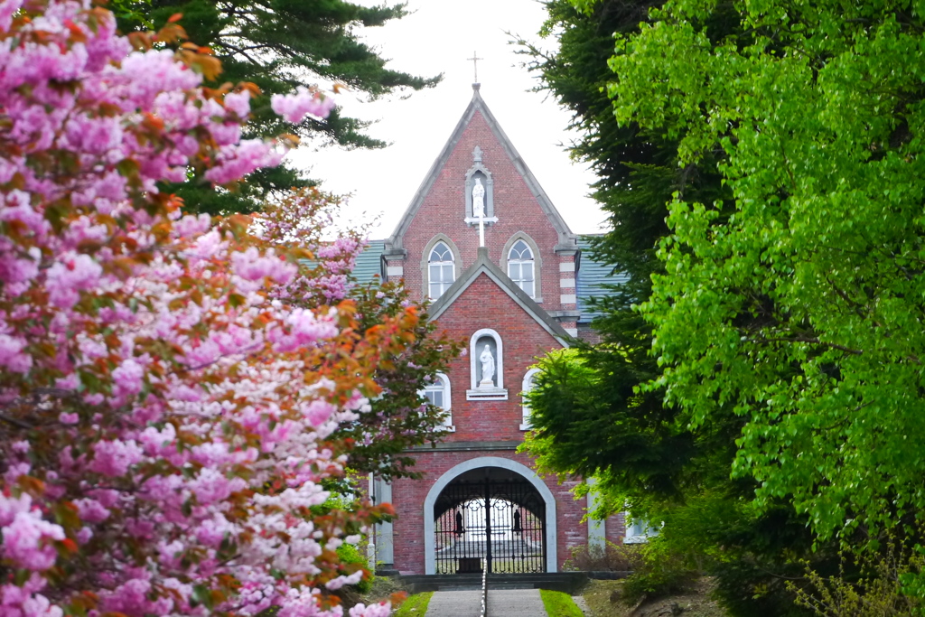 2014.05.20 函館巡禮・桜咲く頃(2)