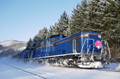 2014.12.14 雪原を駆ける・トワイライトエクスプレス