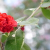 2014.03.01 遠い春を探しに(^^)♪ (5)