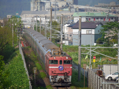 2015.05.23 昨日の8009ﾚ：快晴の津軽海峡線♪