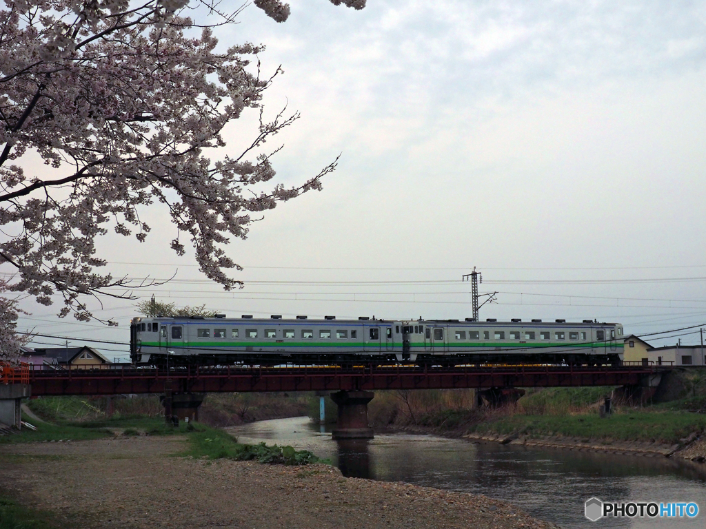 2016.05.02 桜満開のいさ鉄