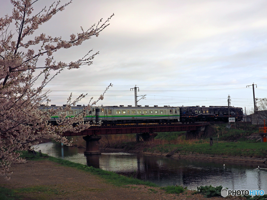 2016.05.01 桜と１番列車