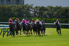 2014.06.28 JRA(15)